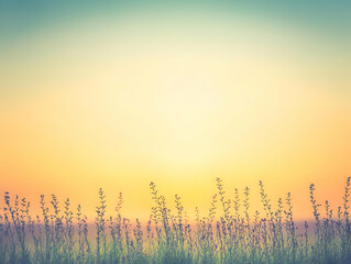 Silhouetted wildflowers sway gently in the serene golden hues of sunrise.