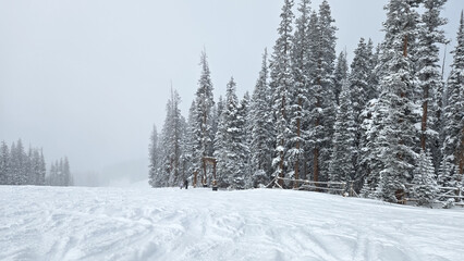 Snow Skiing in Colorado