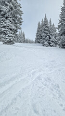 Obraz premium Snow Skiing in Colorado