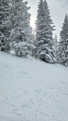 Snow Skiing in Colorado