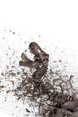 Skeleton remains of Tyrannosaurus rex (t-rex) isolated on white background. The concept of dinosaur extinction, the condition in which the Earth finds scattered fossil with pieces of soil.