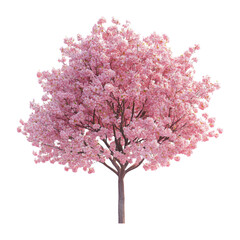 Fototapeta premium Isolated 3D Cherry Tree with Pink Blossoms on White Background