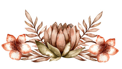 Fototapeta premium Watercolor illustration of flowers. Protea, flowers, plants, painted in brown shades, collected in a border. Design for invitations, cards in boho style.