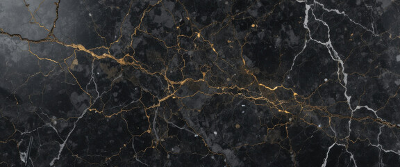 Elegant black marble with gold and white veining patterns.