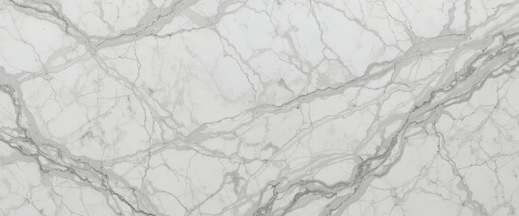 Obraz premium Elegant marble texture with gray veining on a white background.