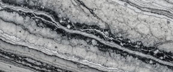 Fototapeta premium Abstract black and white marble texture with flowing patterns.