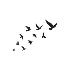 Flying birds silhouettes on white background. Vector illustration. isolated bird flying. tattoo design.	