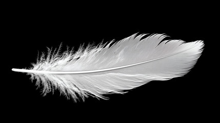 Obraz premium A single, floating feather on a dark background, embodying the lightness and freedom of thought.