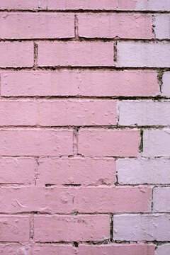 Fototapeta Close up of pink brick wall