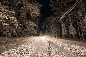 Obraz premium road in the snow