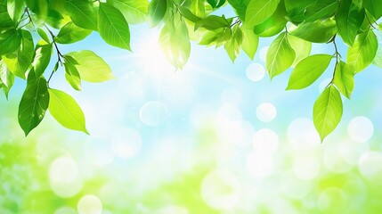 Naklejka premium Green Leaves on a Sunny Day: A vibrant composition of lush green leaves framing a clear blue sky, bathed in the warm glow of sunlight, creating a serene and refreshing springtime aesthetic.