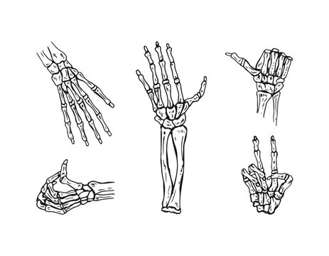 Skeleton hands doodle hand-drawn cartoon with gesture vector illustration.