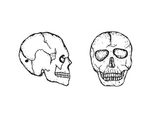 Side view and front view hand-drawn doodle cartoon skull head.
