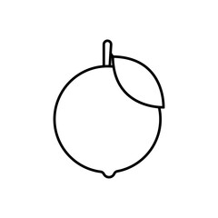 Orange icon Flat isolated outline sign