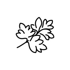 collection of parsley icon outline design in black and on white background