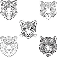  set of tiger vector illustration  