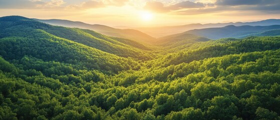 Serene sunrise over lush green hills, showcasing nature's beauty and tranquility in a vibrant landscape