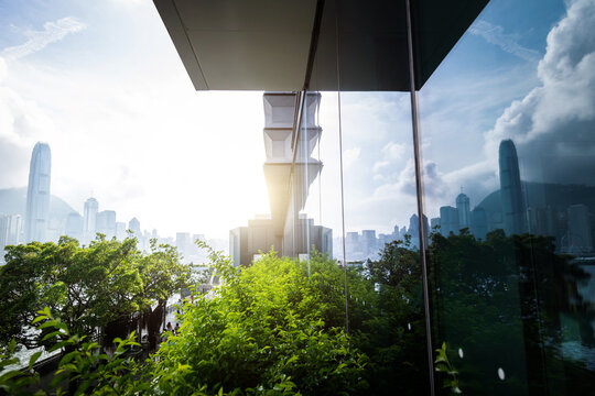 Green plants outside the office building - Powered by Adobe