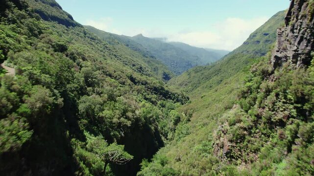 A serene 4k aerial drone video showcasing a picturesque valley nestled between lush green mountain cliffs