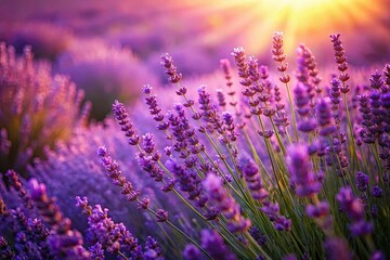 Dreamy lavender field, whimsical breeze, artistic fantasy.