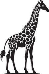 Obraz premium Black Color Giraffe Silhouette Vector Illustration, Solid White Background