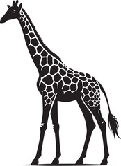 Naklejka premium Black Color Giraffe Silhouette Vector Illustration, Solid White Background