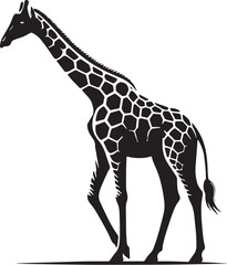 Obraz premium Black Color Giraffe Silhouette Vector Illustration, Solid White Background