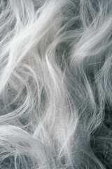 Obraz premium Close-up view of soft, white, fluffy fibers intertwining in a gentle swirl, evoking a sense of warmth and comfort.