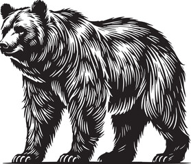 Black Color Grizzly Bear Silhouette Vector Illustration, Solid White Background