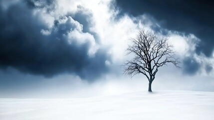 A solitary tree stands against a dramatic, cloudy sky in winter.