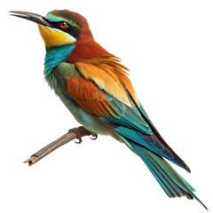 Naklejka premium Bee Eater AI Generated Image