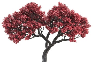 Fototapeta premium Vibrant Crimson Tree Against a Clean Background