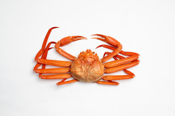 紅ズワイガニ　冬の味覚