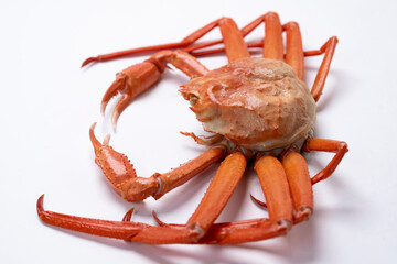 紅ズワイガニ　冬の味覚