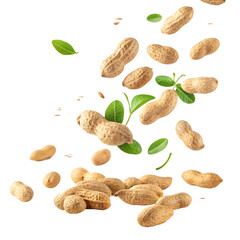 Peanut flying on transparent background 