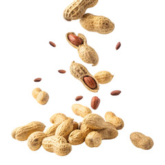 Peanut flying on transparent background 
