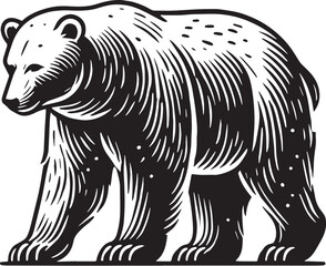 Black Color Polar Bear Silhouette Vector Illustration, Solid White Background