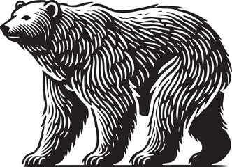 Black Color Polar Bear Silhouette Vector Illustration, Solid White Background