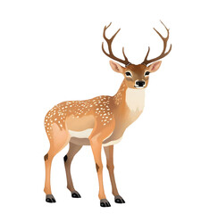  Illustration deer animal wildlife nature wild background design mammal vector stag