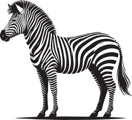 Black Color Zebra Silhouette Vector Illustration, Solid White Background