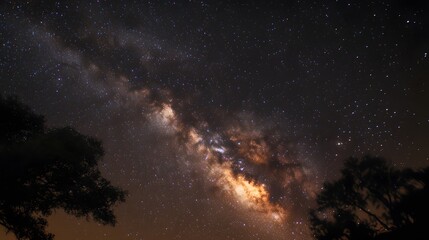 Majestic Milky Way Galaxy Shining Brightly Above Silhouetted Trees