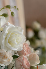 Pink and white roses close up in sunlight