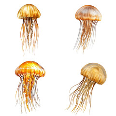 Graceful jellyfish display underwater habitat digital art ocean environment close-up view marine life concept © CRISPIFLY