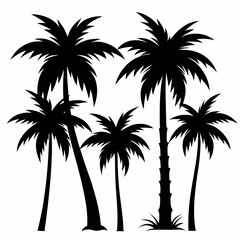 Obraz premium Silhouette of Palm Trees