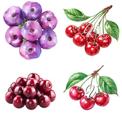 Fresh blueberries and cherries botanical natural produce studio setting close-up view healthy eating