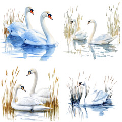 Elegant swans in tranquil waters serene lake watercolor painting nature close-up view wildlife beauty