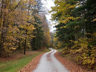 Obraz premium Autumn Road Winding Through Colorful Forest with Fall Foliage
