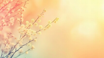 Pastel Spring Blossoms: Delicate pale yellow blossoms on slender branches, bathed in soft, pastel sunlight.  A dreamy, ethereal image perfect for spring themes and gentle backgrounds.