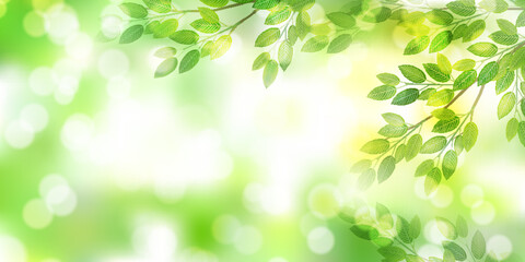 新緑　葉　風景　背景