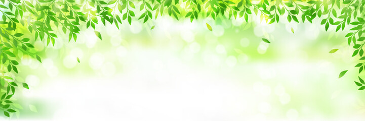 Fototapeta premium 新緑 葉 風景 背景